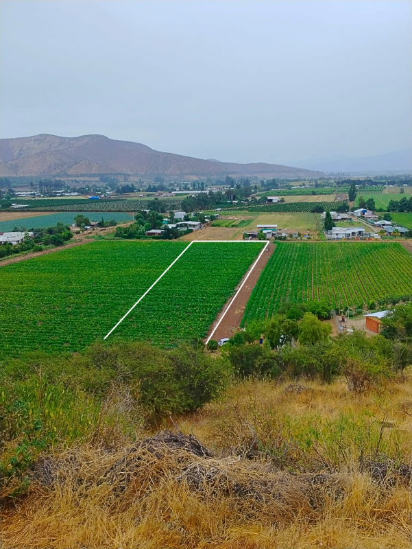 Arriendo Terreno Agrícola Con Agua