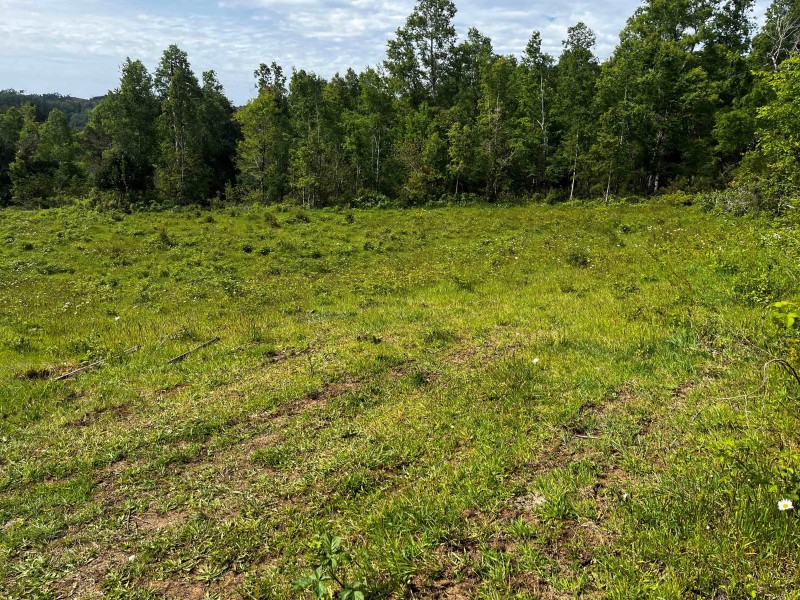 Vendo Parcela 1 Hectarea 10.000 M2 Muy Lindo Cerca de Osorno