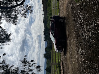 Vendo Parcela 1 Hectarea 10.000 M2 Muy Lindo Cerca de Osorno