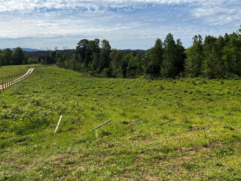 Vendo Parcela 1 Hectarea 10.000 M2 Muy Lindo Cerca de Osorno