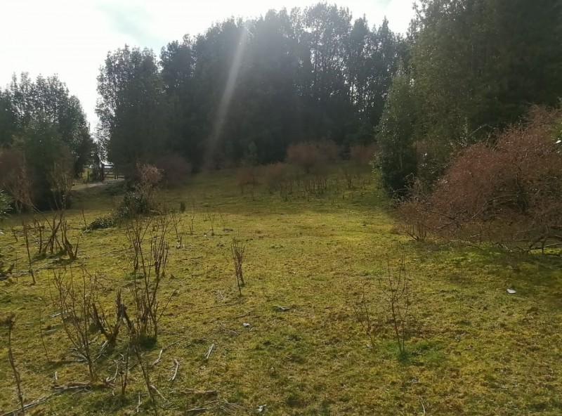 Parcela en Chiloé A Precio Oportunidad. 5.4 Ha. Chonchi.