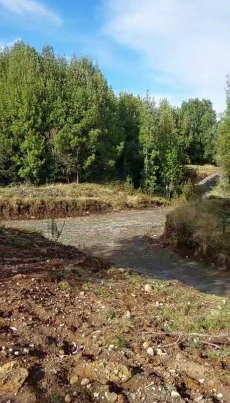Parcela en Chiloé A Precio Oportunidad. 5.4 Ha. Chonchi.