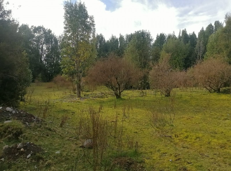 Parcela en Chiloé A Precio Oportunidad. 5.4 Ha. Chonchi.
