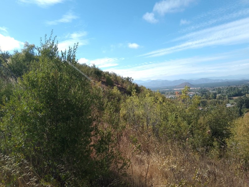Se Vende Parcela O Terreno Completo, Cerro Cumpeo