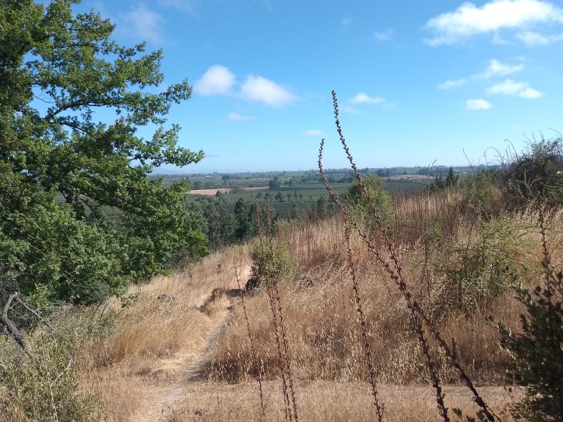 Se Vende Parcela O Terreno Completo, Cerro Cumpeo