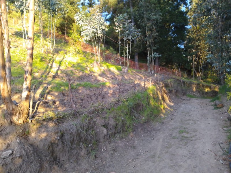 Se Vende Parcela O Terreno Completo, Cerro Cumpeo