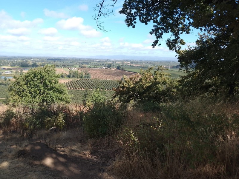 Se Vende Parcela O Terreno Completo, Cerro Cumpeo