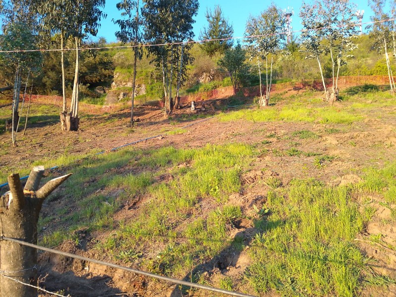 Se Vende Parcela O Terreno Completo, Cerro Cumpeo