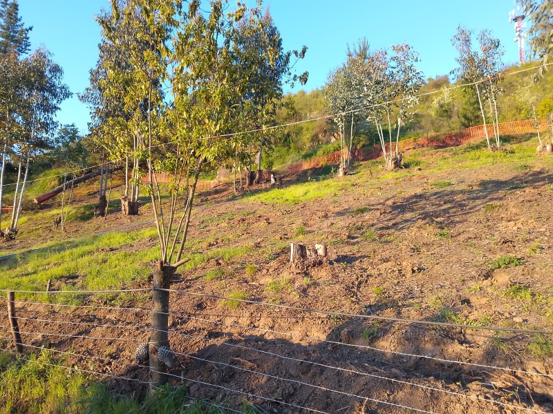 Se Vende Parcela O Terreno Completo, Cerro Cumpeo