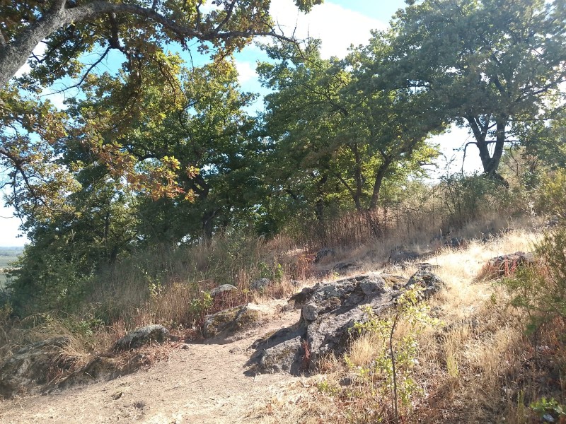 Se Vende Parcela O Terreno Completo, Cerro Cumpeo