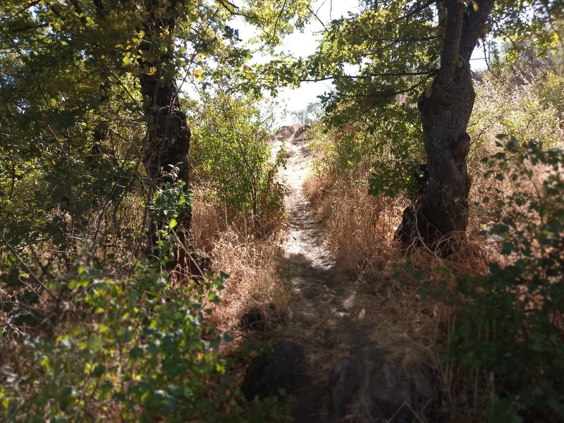 Se Vende Parcela O Terreno Completo, Cerro Cumpeo