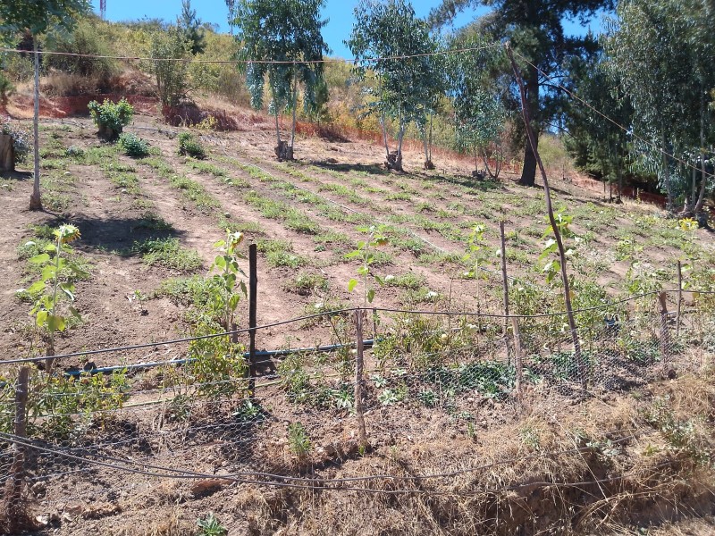 Se Vende Parcela O Terreno Completo, Cerro Cumpeo