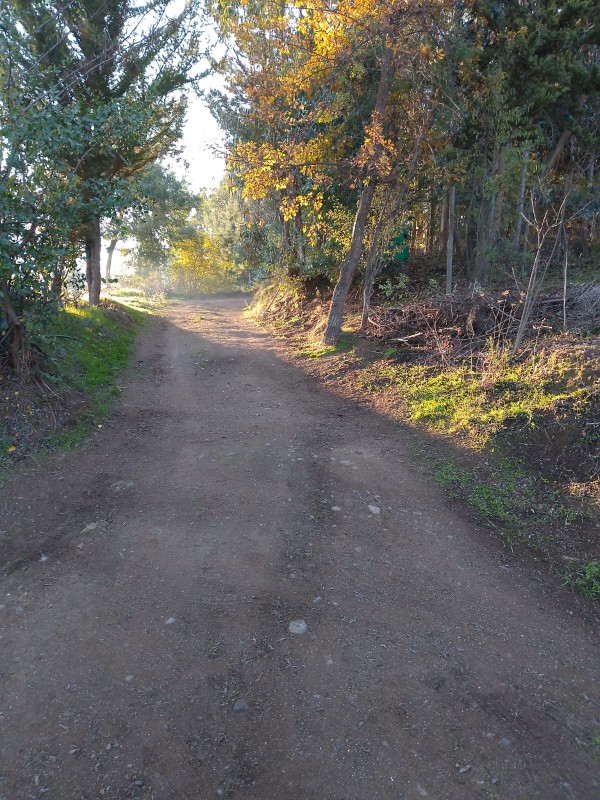Se Vende Parcela O Terreno Completo, Cerro Cumpeo