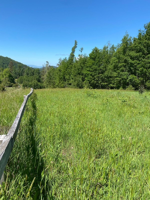 Parcela Entre Villarrica y Licán Ray