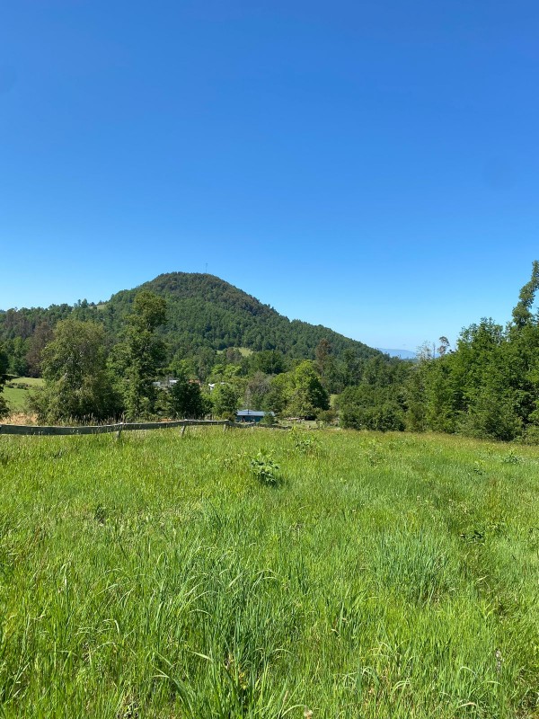 Parcela Entre Villarrica y Licán Ray