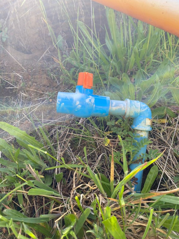 Parcela Entre Villarrica y Licán Ray