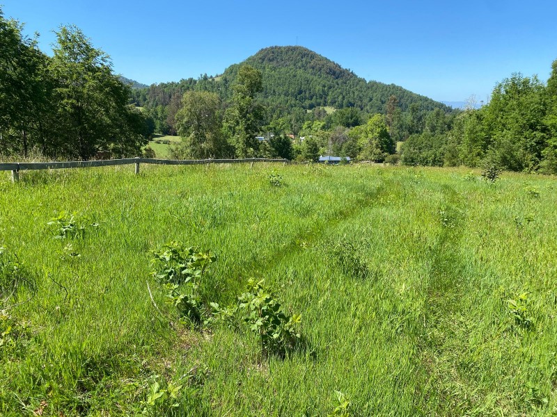 Parcela Entre Villarrica y Licán Ray