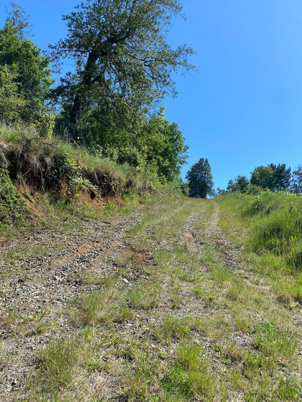 Parcela Entre Villarrica y Licán Ray