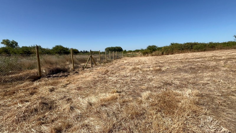 Parcela de 5000 Mt2 A 15 Minutos de San Rafael , Maule.