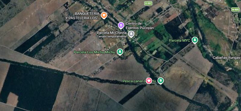 Venta de Terreno Forestal Con Bosque de Pinos 15 Años