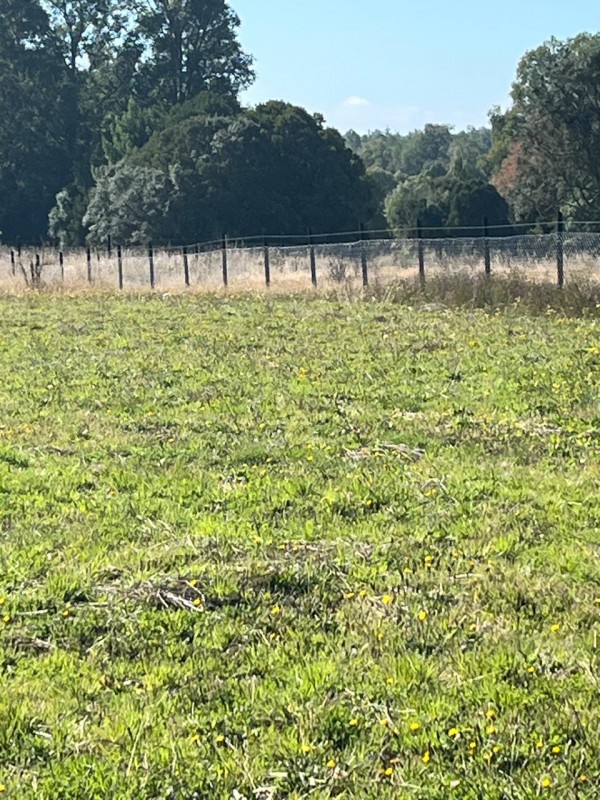 Parcela en Condominio