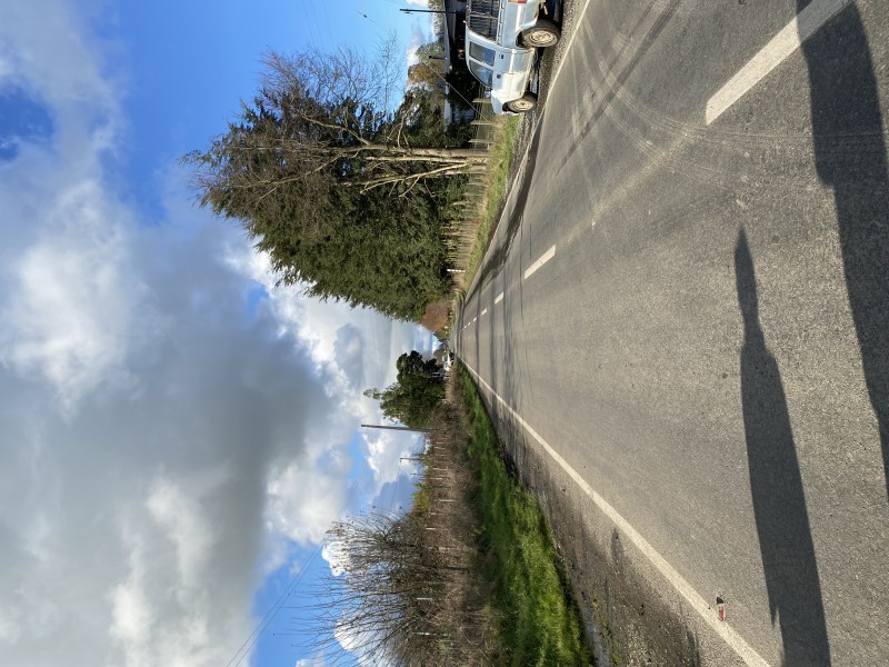 Sitio 8000M2, Con Agua Potable y Luz,sin Casa.