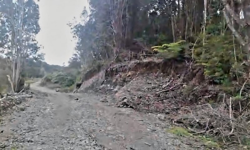 Vendo 1 Hectárea y Media en Rolecha. Rol Propio