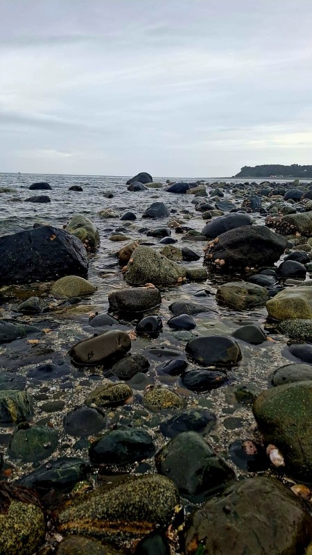 Vendo 1 Hectárea y Media en Rolecha. Rol Propio