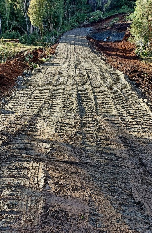 Vendo 1 Hectárea y Media en Rolecha. Rol Propio