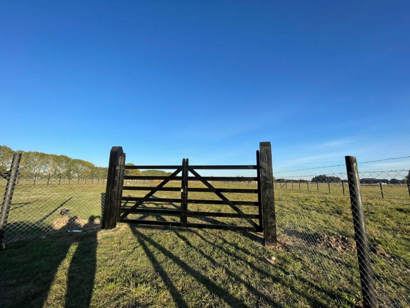 Vendo Parcela de Agrado Araucanía Sur Freire