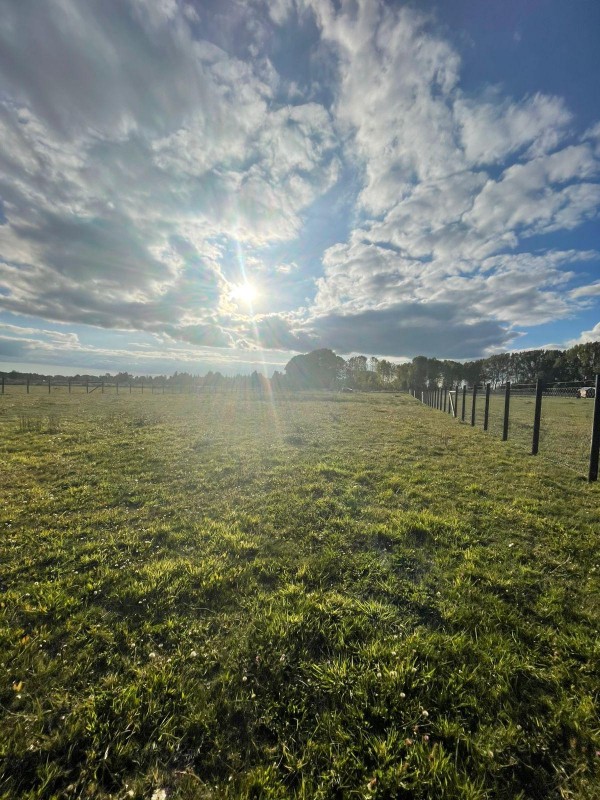 Vendo Parcela de Agrado Araucanía Sur Freire