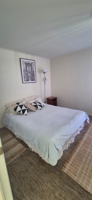 Arriendo Dpto. Full Amoblado