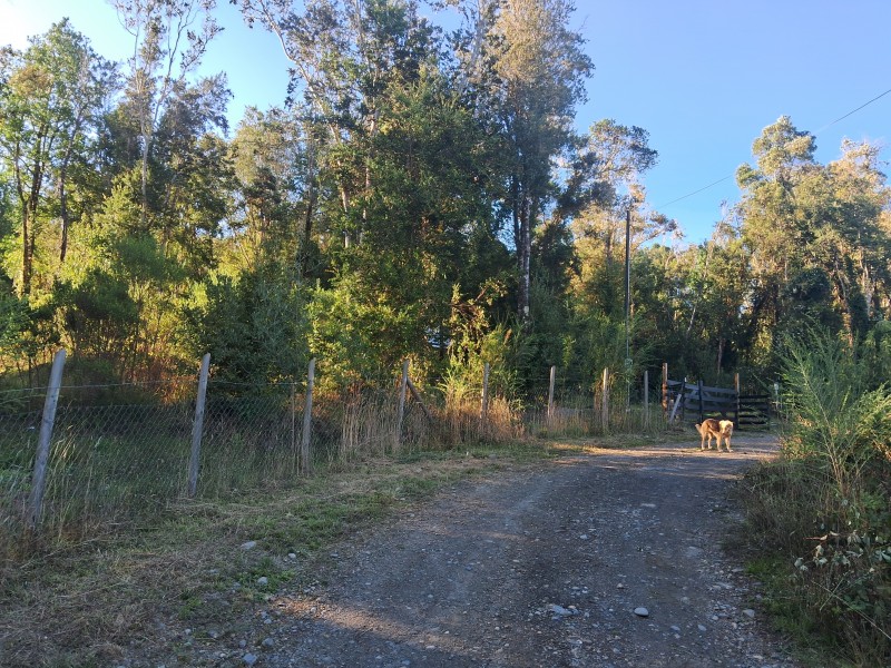 Parcela 5000 Mts Con Casa. Valdivia. los Rios