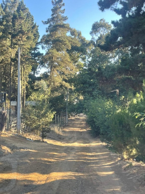 Terreno Laguna Verde