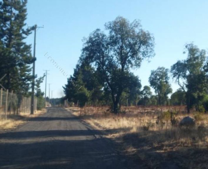 Venta de Terreno