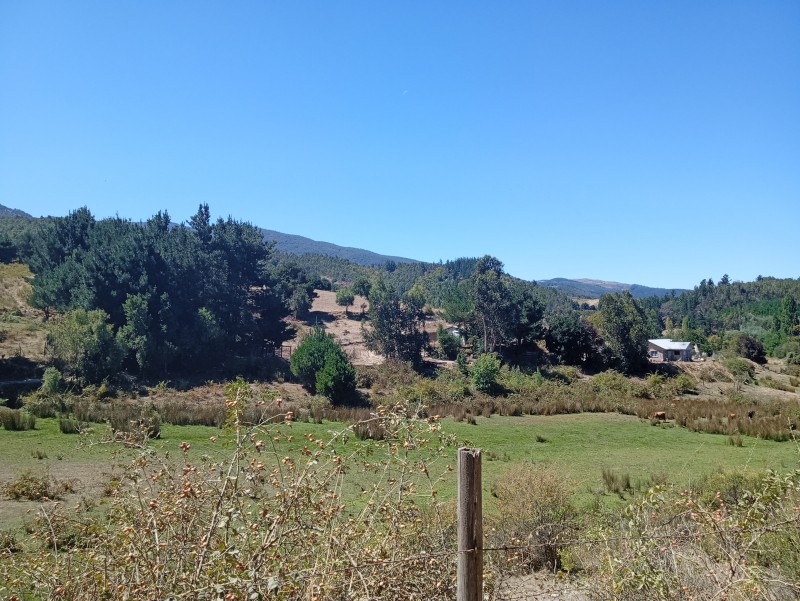 Campo Hermoso Lote 4 Hectáreas los Sauces