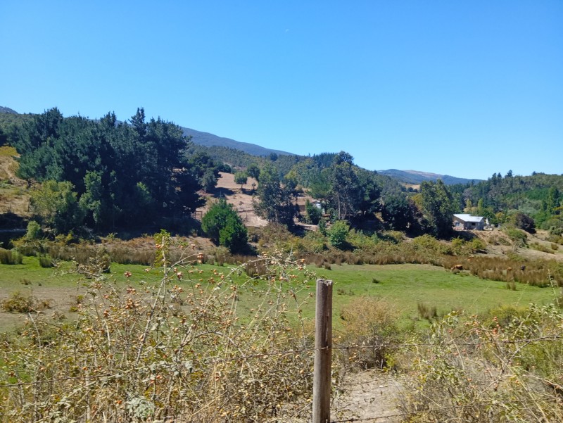 Campo Hermoso Lote 4 Hectáreas los Sauces
