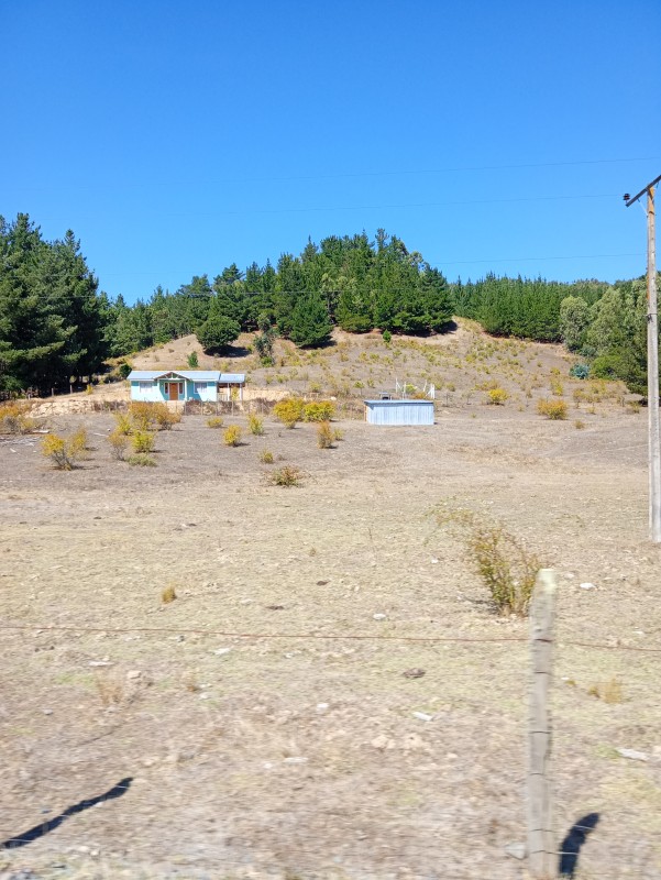 Campo Hermoso Lote 4 Hectáreas los Sauces