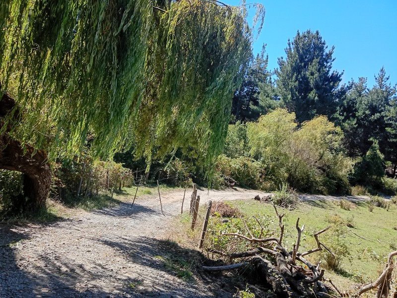 Campo Hermoso Lote 4 Hectáreas los Sauces