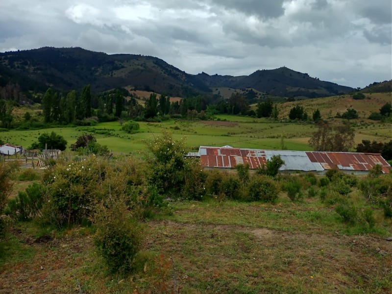 Campo Hermoso Lote 4 Hectáreas los Sauces