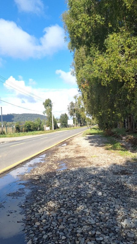 Parcelas A 4 Minutos de Playa Calafquen en Panguipulli