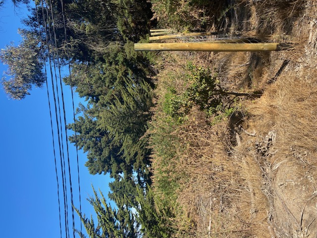 Terreno Vegas de Ritoque Parcela 4-C2