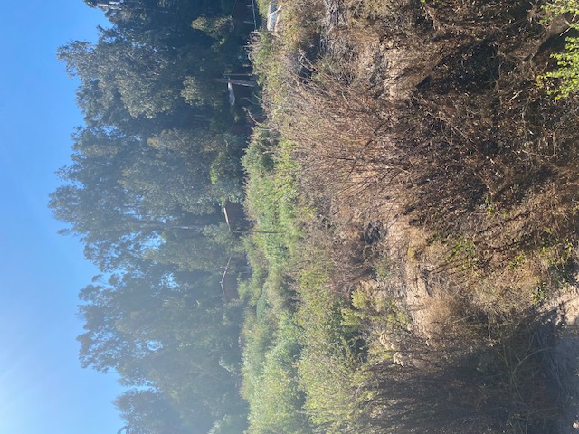 Terreno Vegas de Ritoque Parcela 4-C2