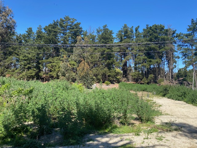 Terreno Vegas de Ritoque Parcela 4-C2