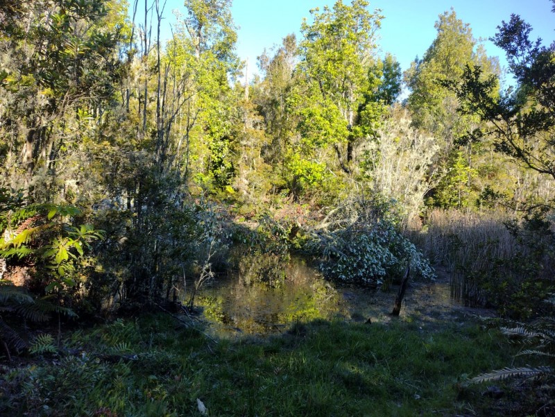 Hectárea Con Laguna Natural | 30 Min Puerto Montt