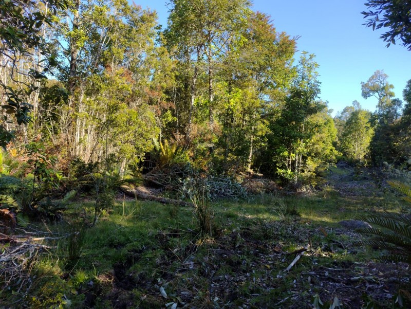 Hectárea Con Laguna Natural | 30 Min Puerto Montt