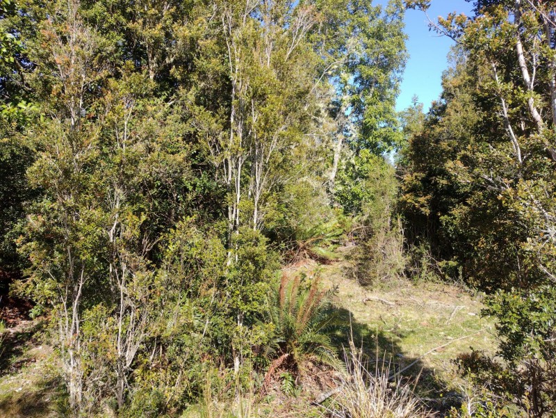 Hectárea Con Laguna Natural | 30 Min Puerto Montt