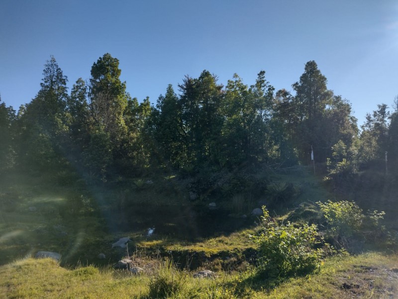 Hectárea Con Laguna Natural | 30 Min Puerto Montt