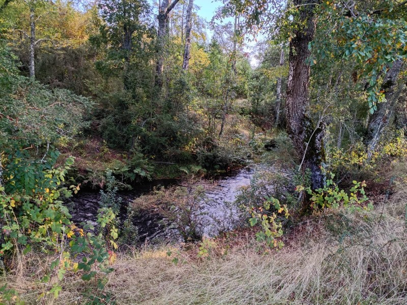 Parcela Con Vista Al Volcán Villarrica y Con Acceso A Estero