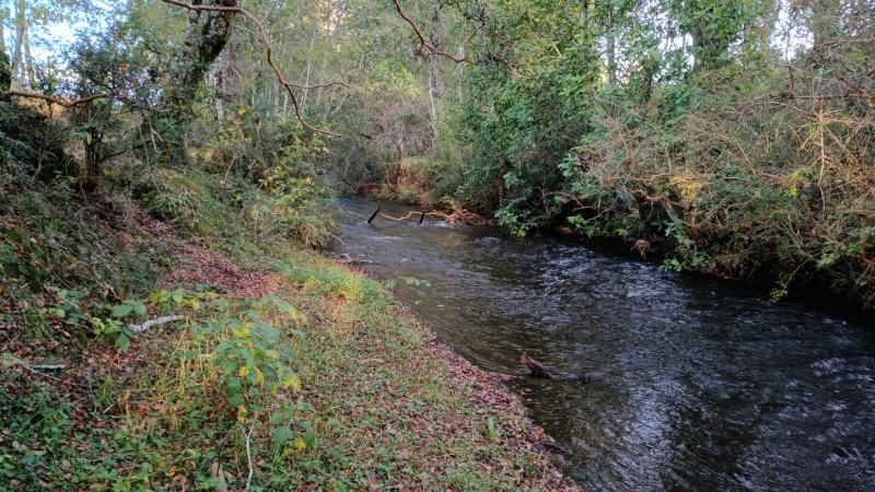 Parcela Con Vista Al Volcán Villarrica y Con Acceso A Estero
